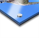 E16328CC A41C 44D2 9584 1272268C7973 Acrylic print