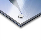 A6DDDBFD F5F2 4CE1 B5A5 CC7EAD909210 Acrylic print