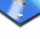 40D024B5 100E 4E9B A718 750A553A6ACD Acrylic print