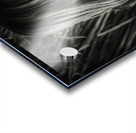 Young Chinese black and white portrait Acrylic print