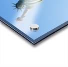 Statue of Liberty Acrylic print