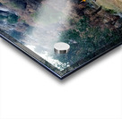 Deer 1 Acrylic print