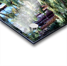 Inside a baby giant tree Acrylic print