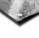 16522277806776809380614773237518 Acrylic print