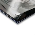 16522279366061088121339712905511 Acrylic print