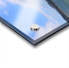 Red Tails Of San Fran Bridge  Acrylic print