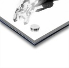 The Unknown Acrylic print