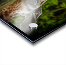 I ll be Watching You Acrylic print