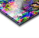 FLYING ZEBRA Acrylic print
