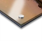 Geneva seen from the Arve river Acrylic print