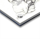 CropiPic_1_6_4_2_0 Acrylic print