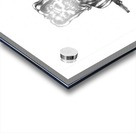 CropiPic_2_6_7_30_15 Acrylic print