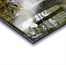 2BE03DA7 48E2 4617 9203 5B24AE5CC2E2 Acrylic print