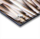 398739AB 84A0 4128 BB16 B4385DE17700 Acrylic print