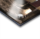 F021B21F 779E 4095 8607 8AAA0501D658 Acrylic print