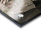 927931BE B207 4E6E A13B 38589FDC2A3D Acrylic print