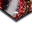 Red Daisy Acrylic print