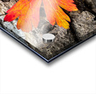 A468AFF5 0E35 4D8C 8A2E BB3168E7E78D Acrylic print