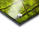 2022 May 04 IndianCrk01 Acrylic print