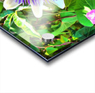 k   Passion Acrylic print