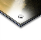 Biltmore Dream Acrylic print