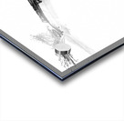 Curves of Sound Acrylic print