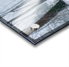 Path in a forest under the snow in winter Acrylic print