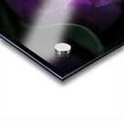 C6BA5956 485C 428F 9B48 A938EE047FD1 Acrylic print