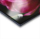 465D0B73 E859 4EFB A8C1 F135AA14F216 Acrylic print