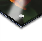 2D129917 4403 4BC1 9556 0C82F687A30C Acrylic print