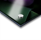 E54902A0 D551 4DE8 892D 0819F3726D5A Acrylic print