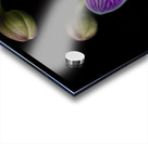 6A02853C 7714 4028 BE2A F75DC0C40BED Acrylic print