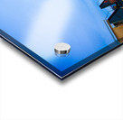 A59D6256 4D00 4544 8D76 46D64760D296 Acrylic print