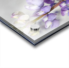 6DA728DD D5BE 4999 BCA9 05CE56D0B715 Acrylic print