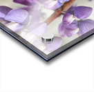 C7C17AC9 0B65 429C 8DB7 C6CEF130F4DC Acrylic print