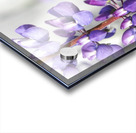 ED964EA7 670A 4B7A 9FD5 14459CFDC15B Acrylic print