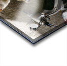 B74EA6CE AE05 4055 955E D665D2897B81 Acrylic print