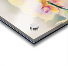 Orchid 2 Acrylic print