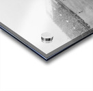 1903 Harvard Crimson vs. Dartmouth Big Green Acrylic print