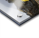 In the rain Acrylic print