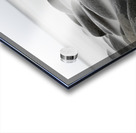 Floating Acrylic print