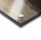 The Bridge Acrylic print