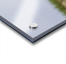 2022 June 10 WldHrse02 Acrylic print