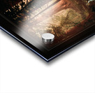 Giant Redwood Trees of California by Albert Bierstadt Remastered Xzendor7 Classical Fine Art Old Masters Reproductions Acrylic print