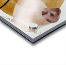 Gold 3 Acrylic print