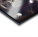 Defectus Acrylic print