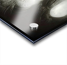 Solitudo Acrylic print