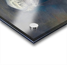 Praetorian Progenitor Acrylic print