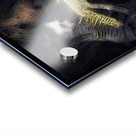 The Collector Acrylic print