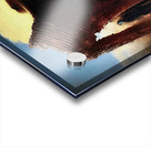 Fantome Sauvage Acrylic print